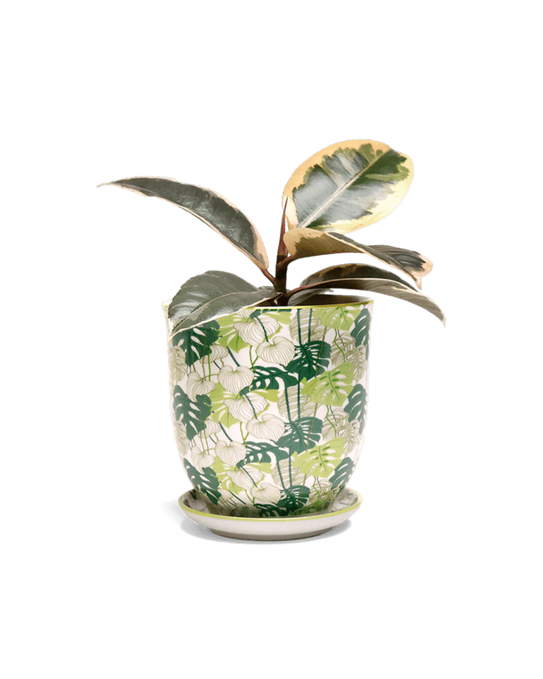 Product image 65
