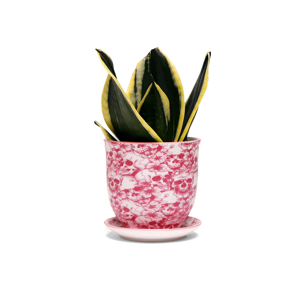 Product image 77