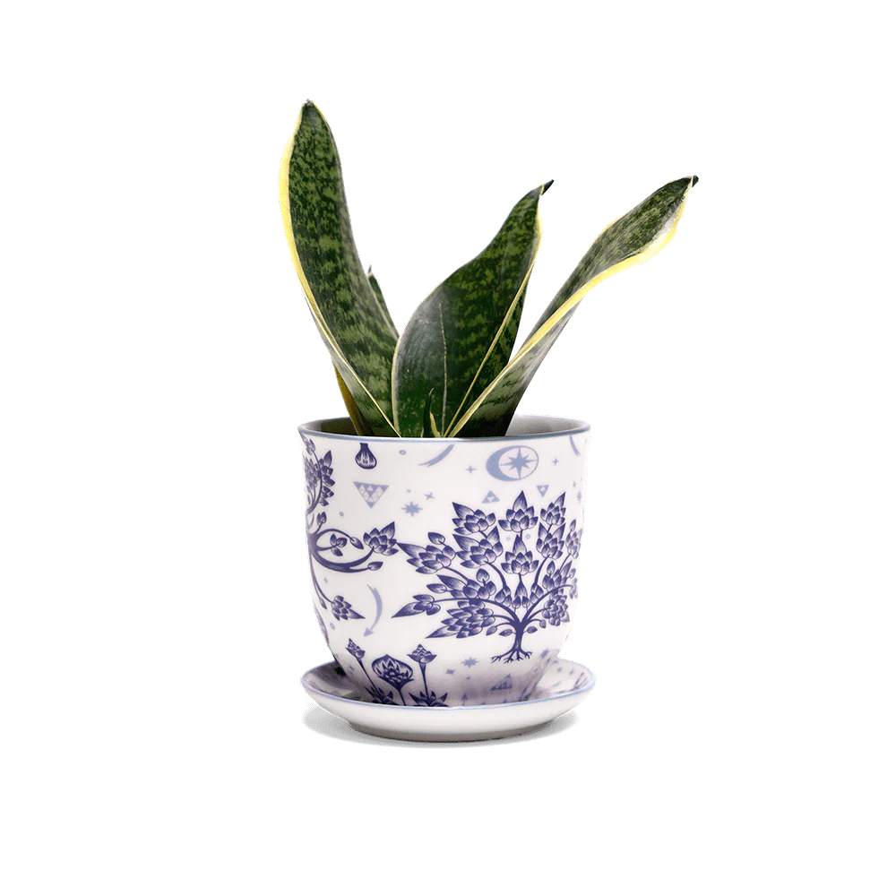 Product image 80