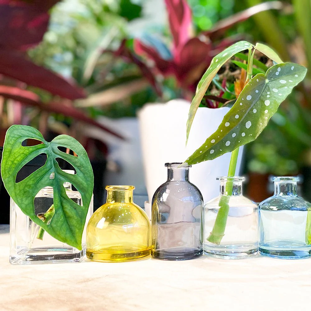 Product image 127