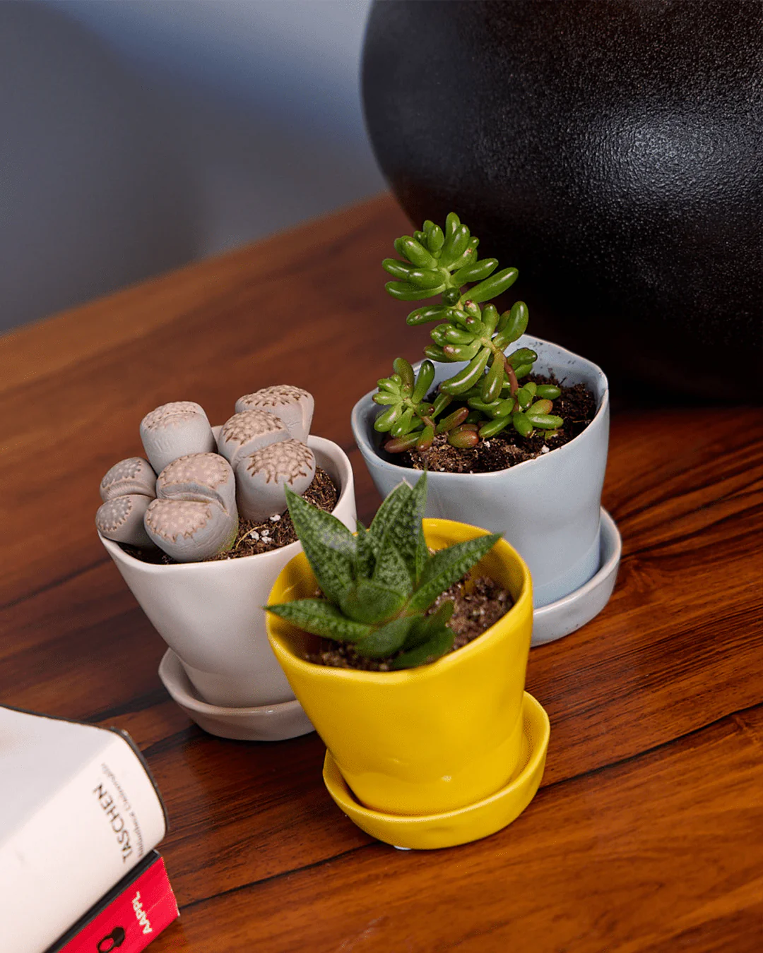 Product image 33
