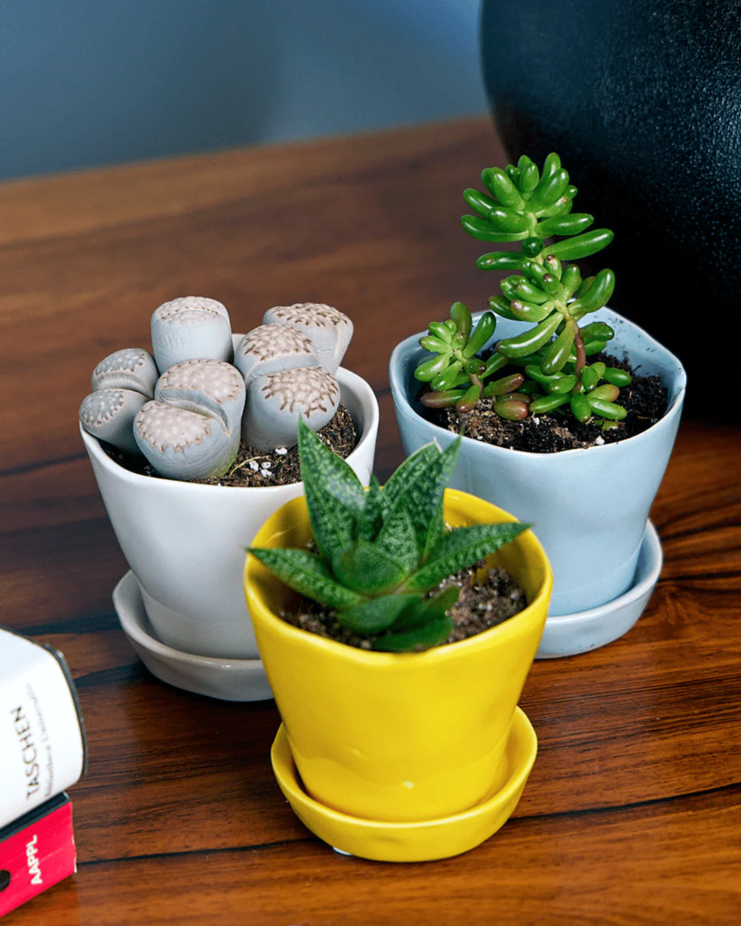 Product image 43
