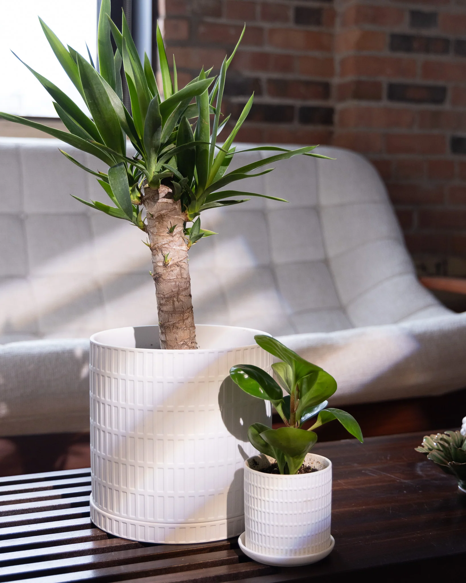 Product image 102