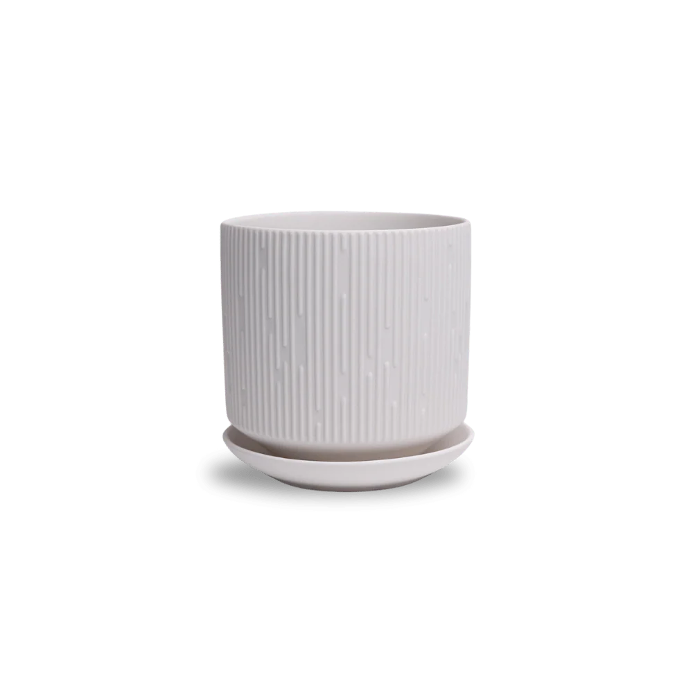 Product image 105