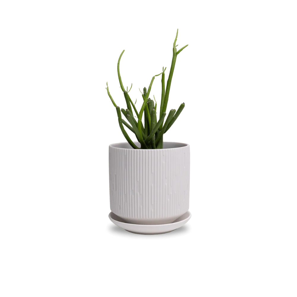 Product image 106