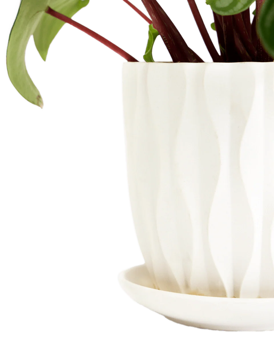Product image 110