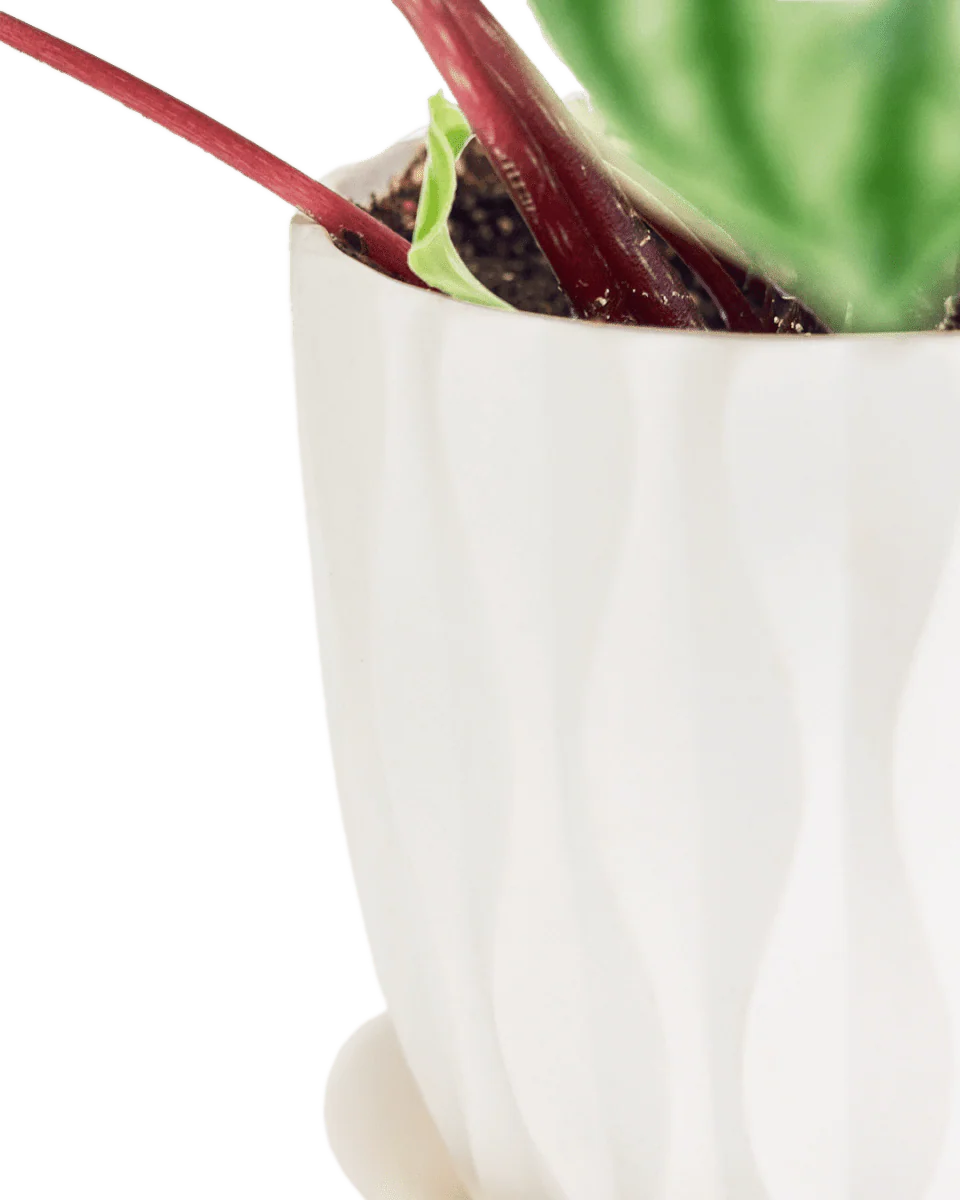 Product image 111
