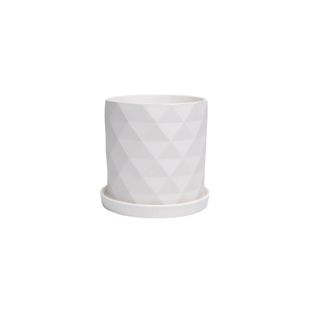 Product image 113