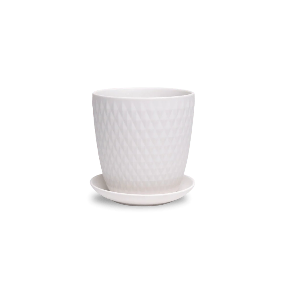 Product image 117