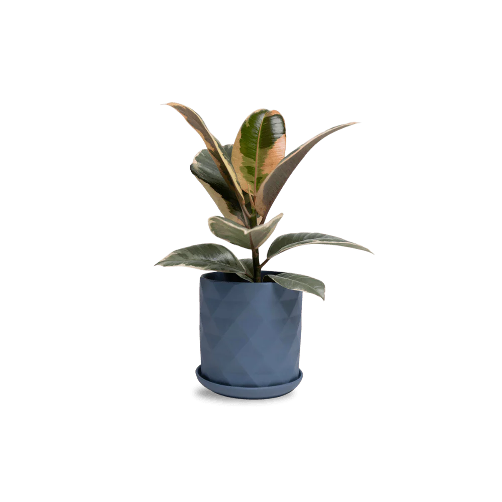 Product image 87