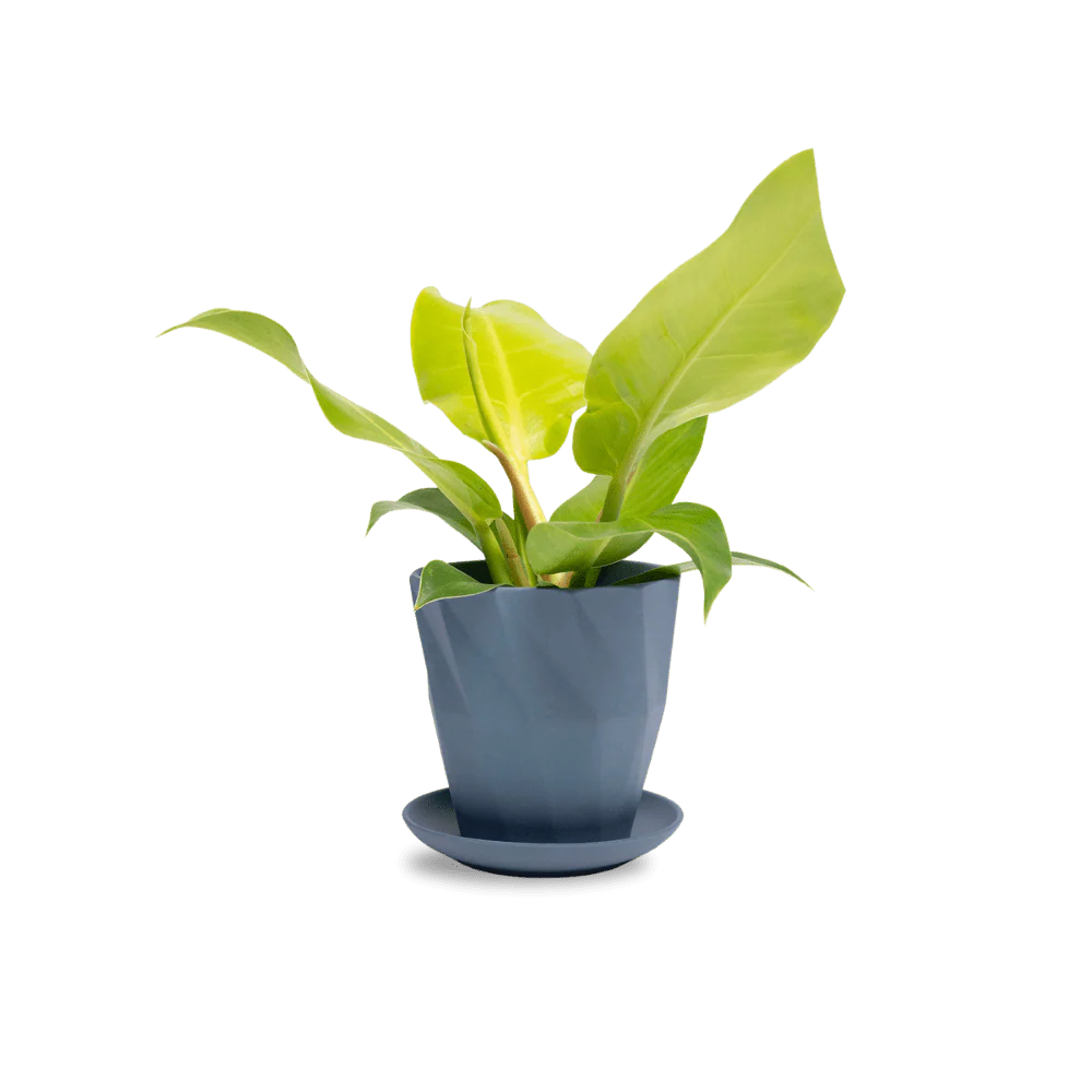 Product image 91