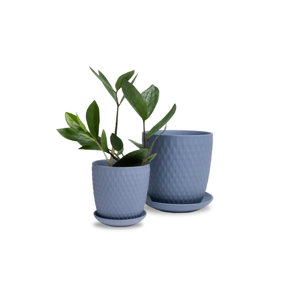 Product image 97