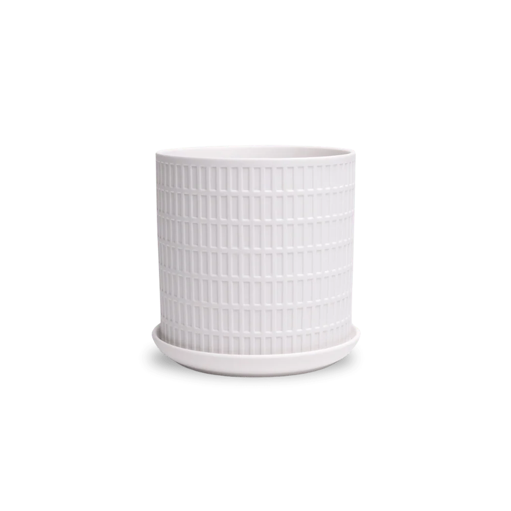 Product image 98