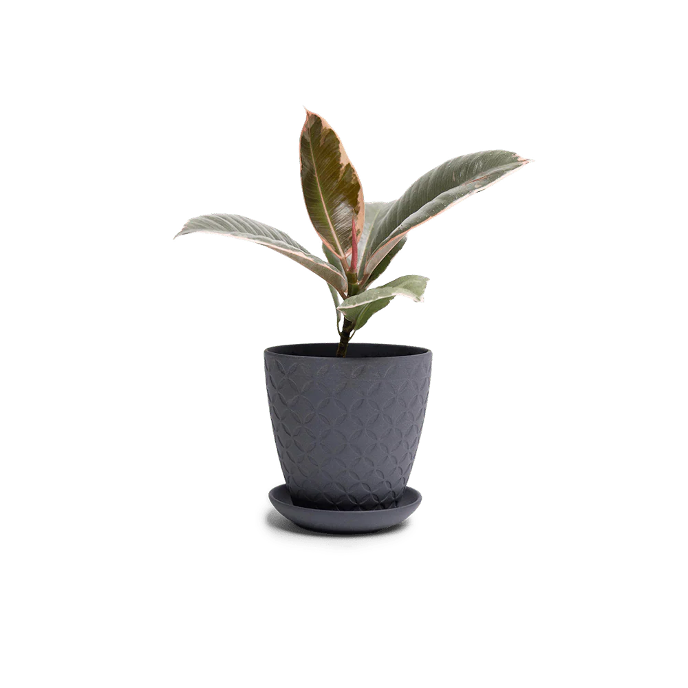 Product image 103