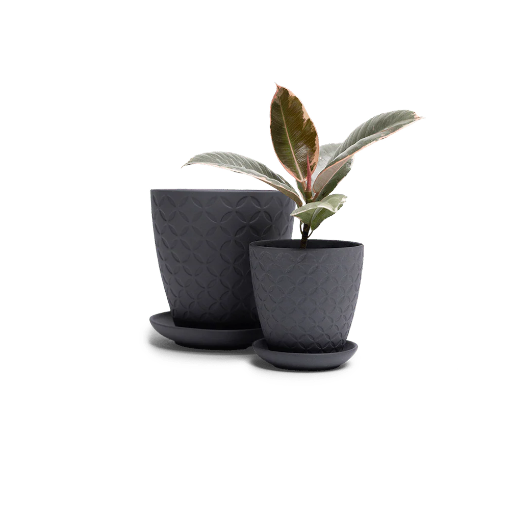 Product image 107