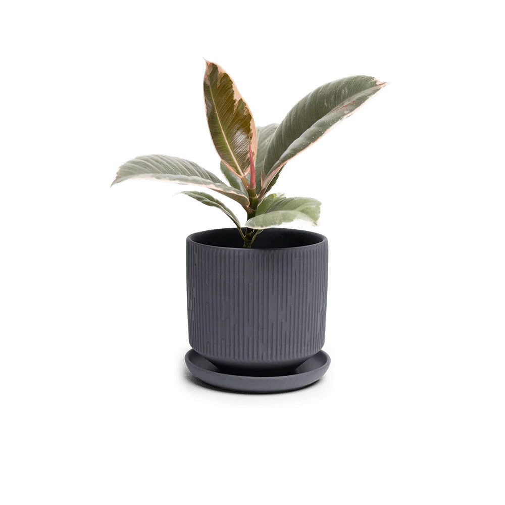 Product image 109