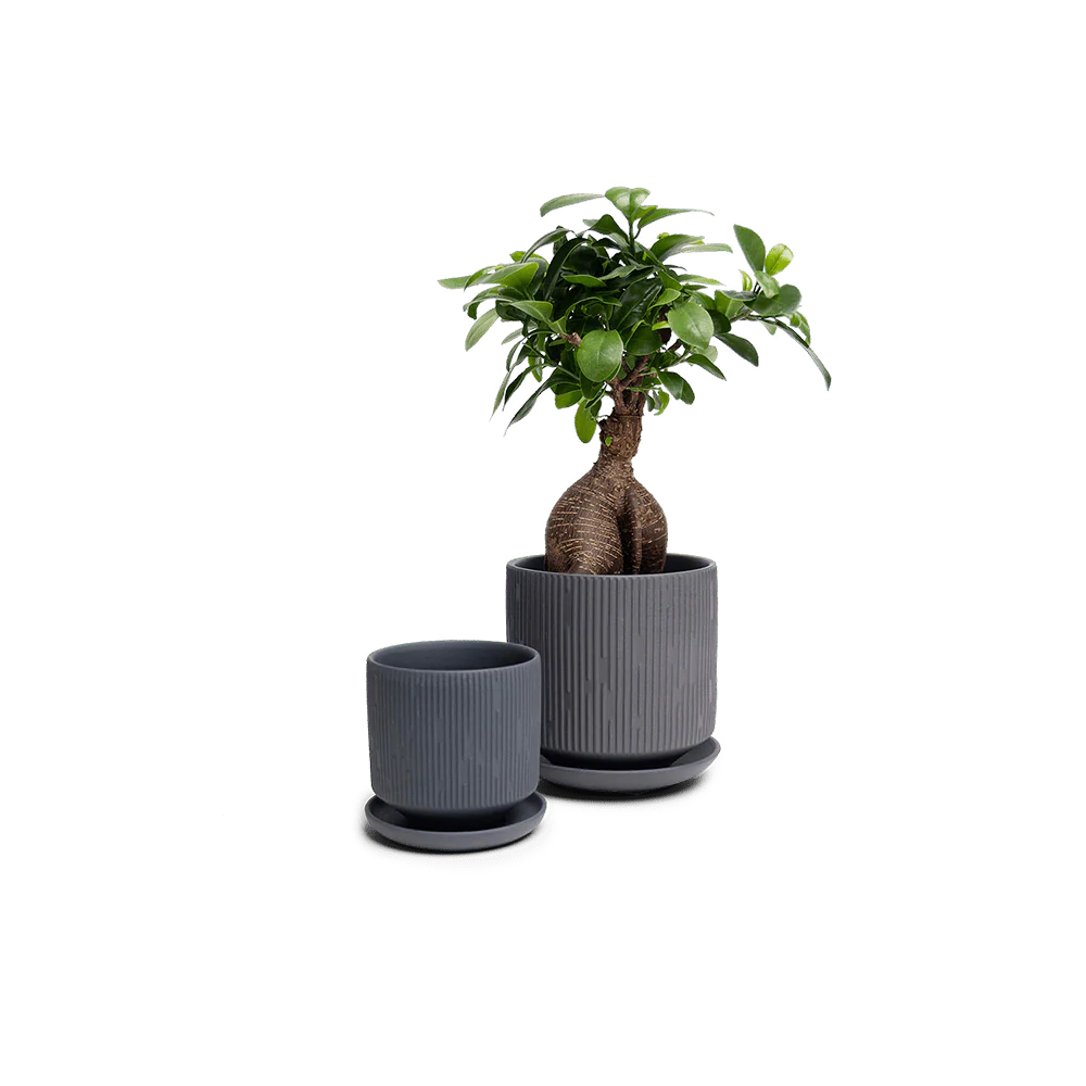 Product image 111