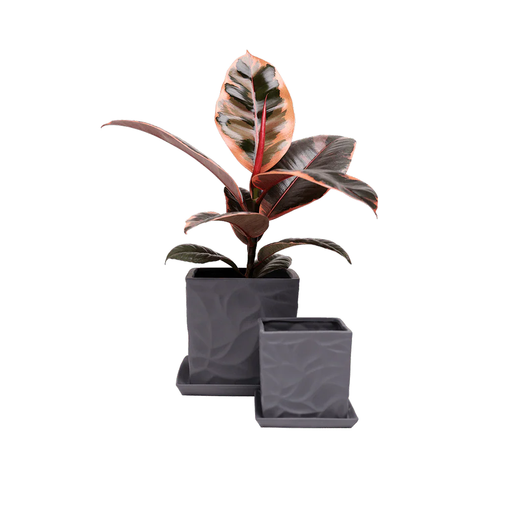 Product image 115
