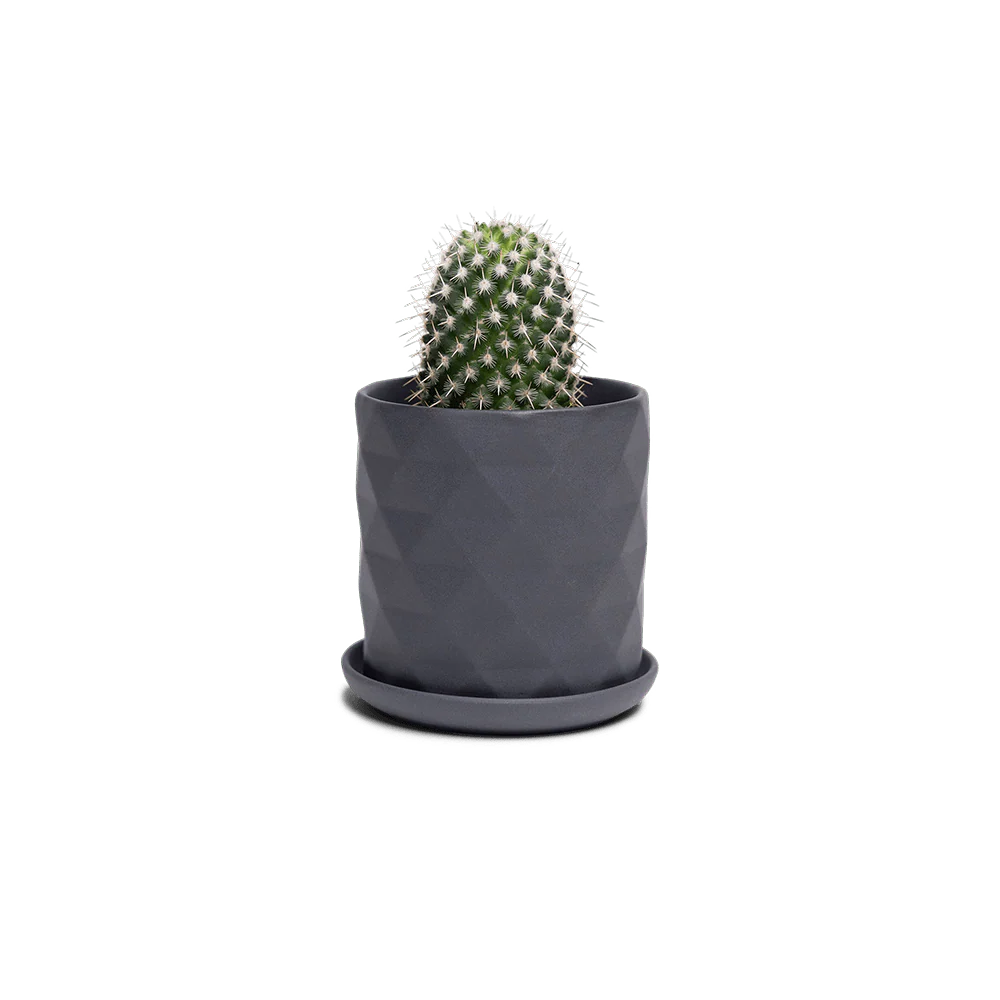 Product image 120