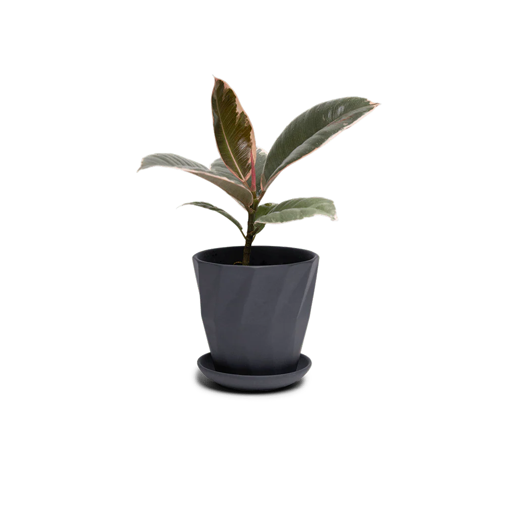 Product image 124