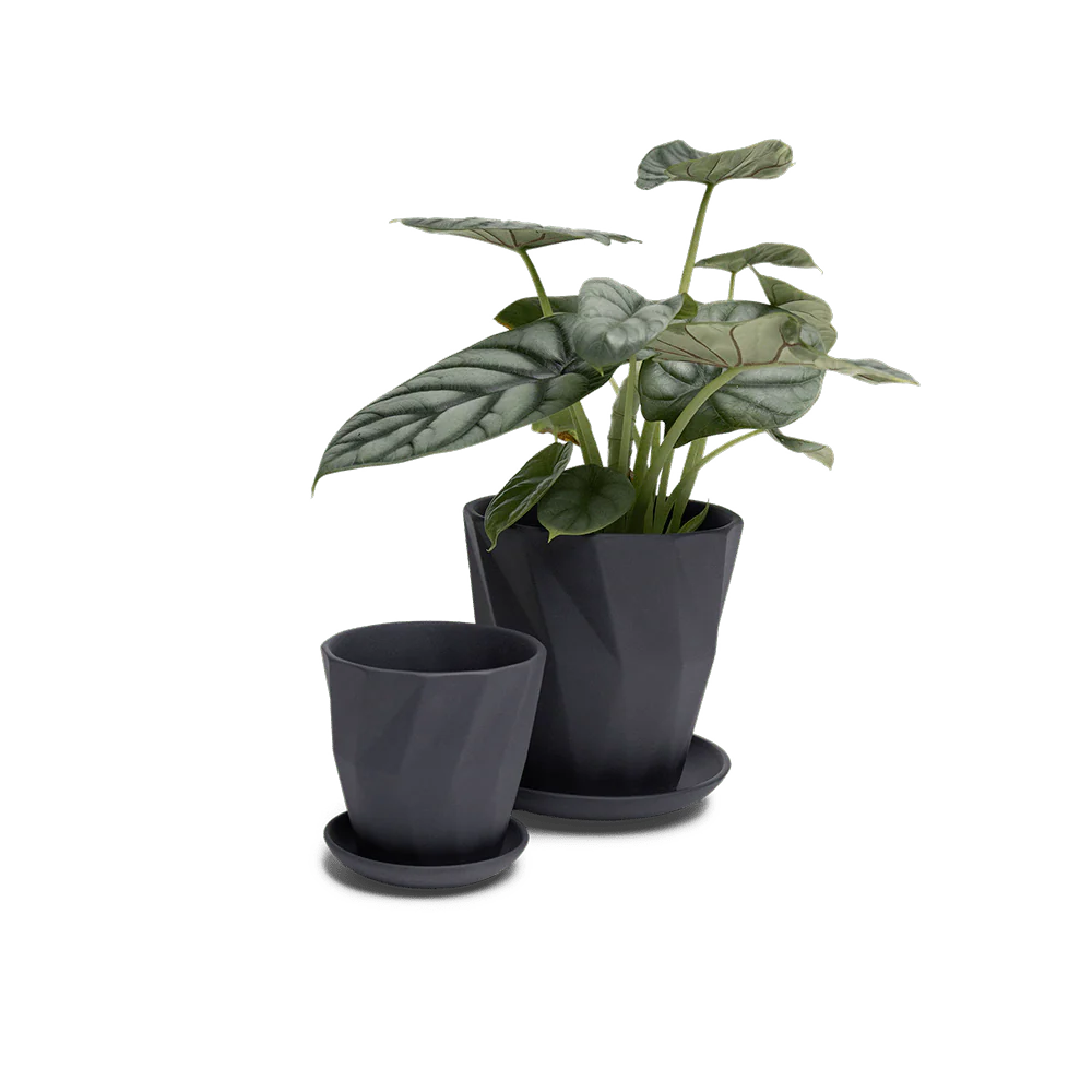 Product image 126
