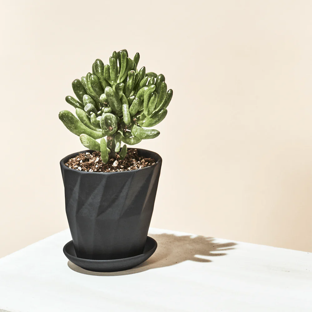 Product image 127