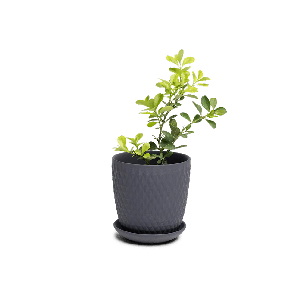 Product image 129