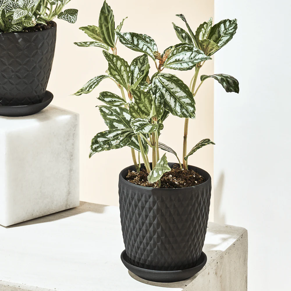 Product image 131