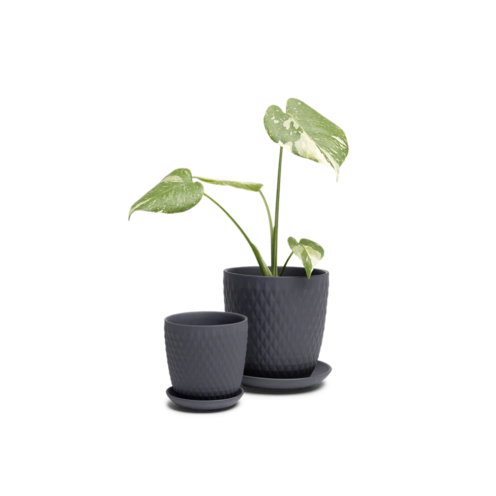 Product image 132
