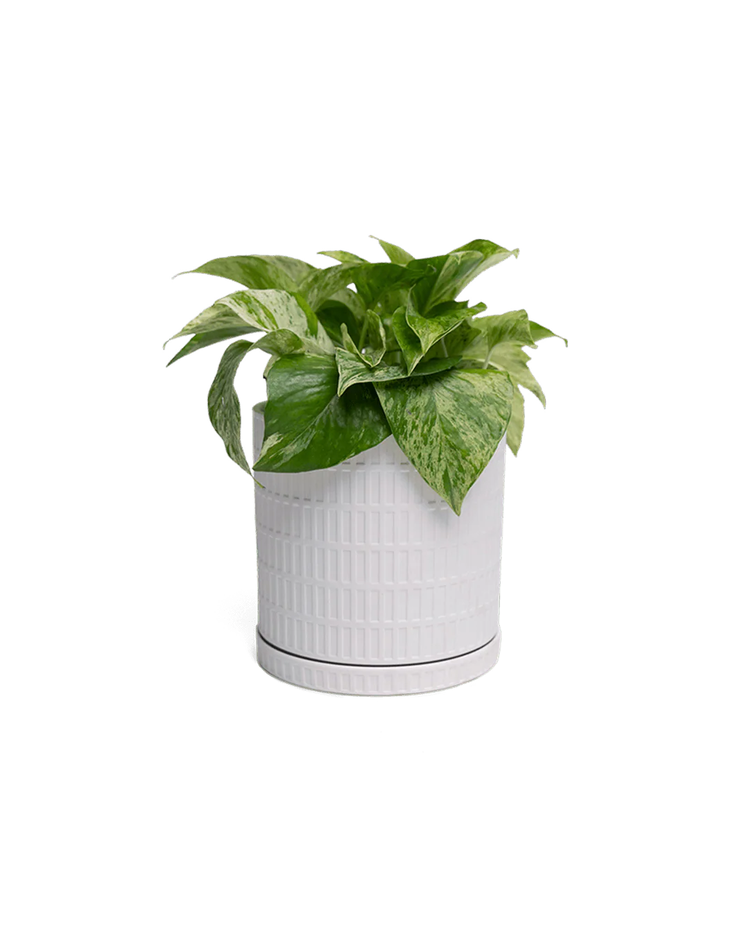 Product image 133