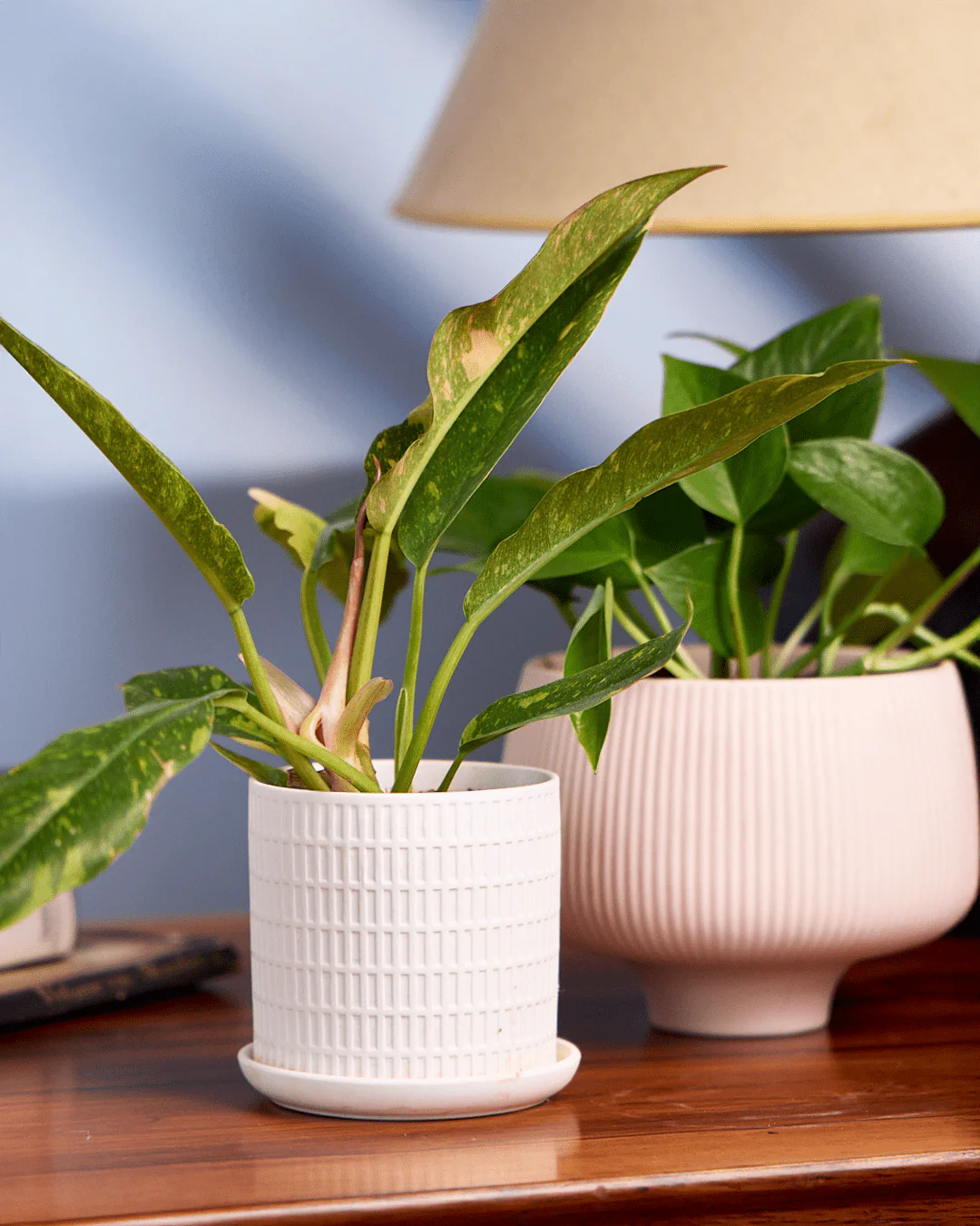 Product image 134