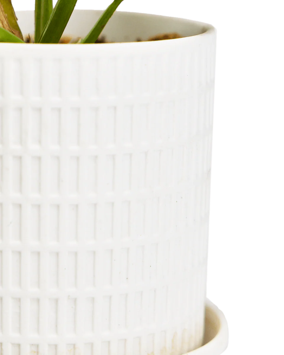 Product image 136
