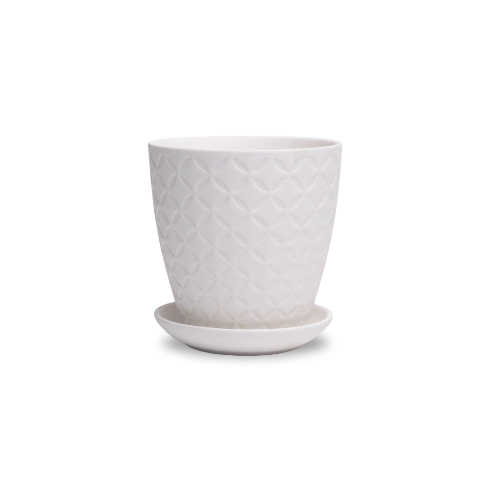 Product image 137