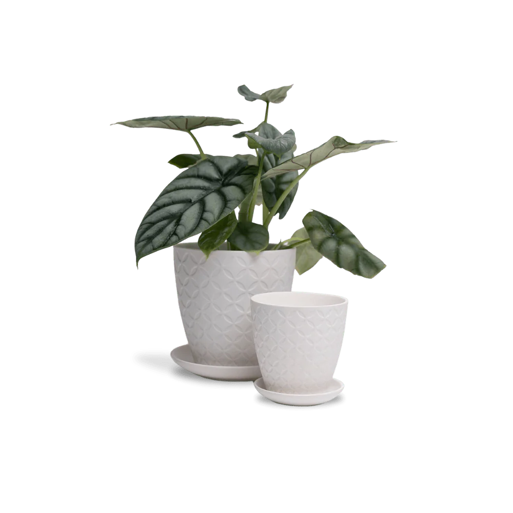 Product image 140