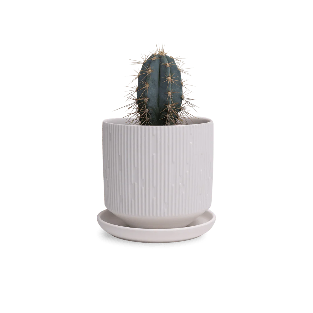 Product image 142