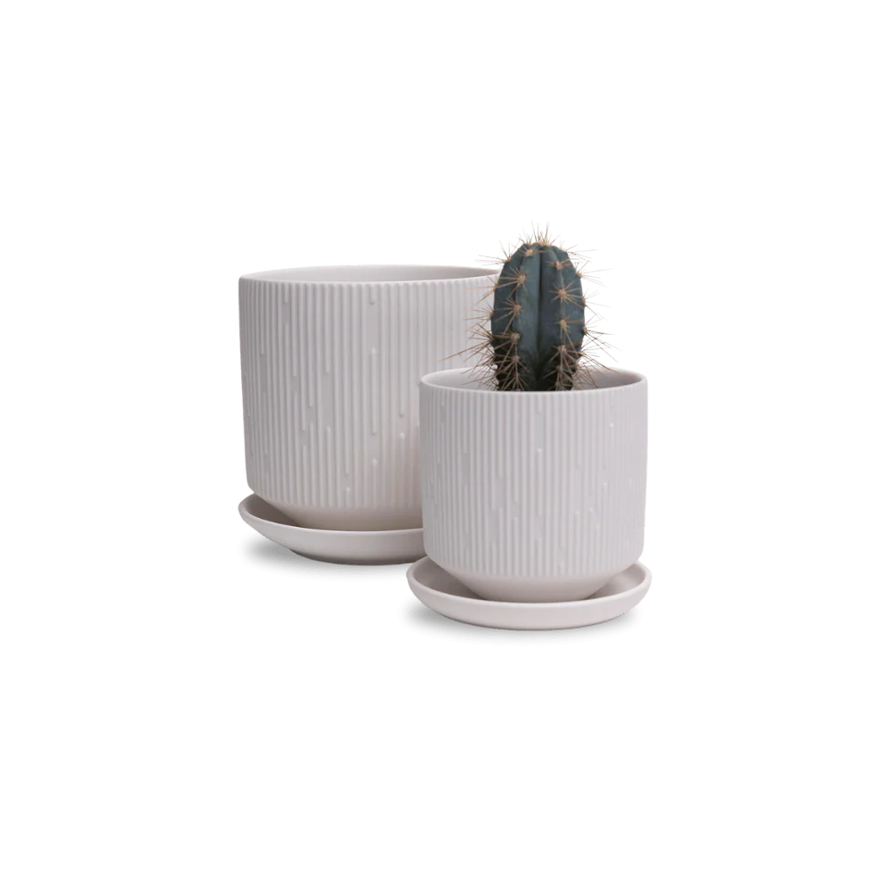 Product image 144