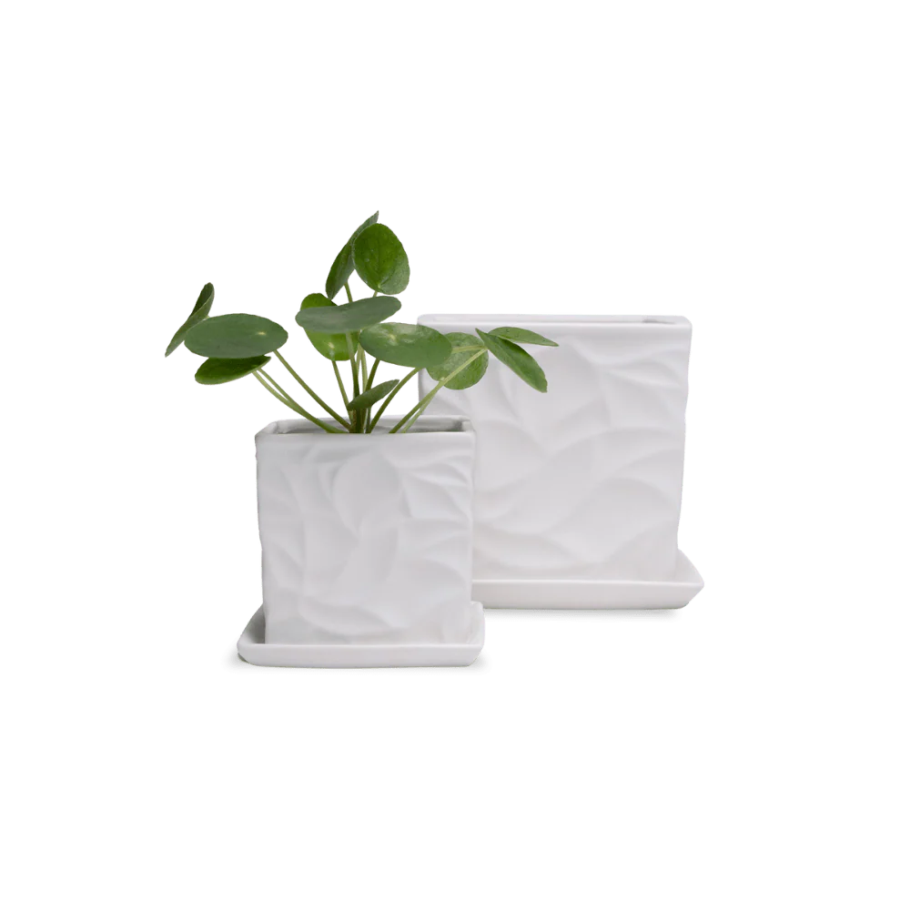 Product image 148