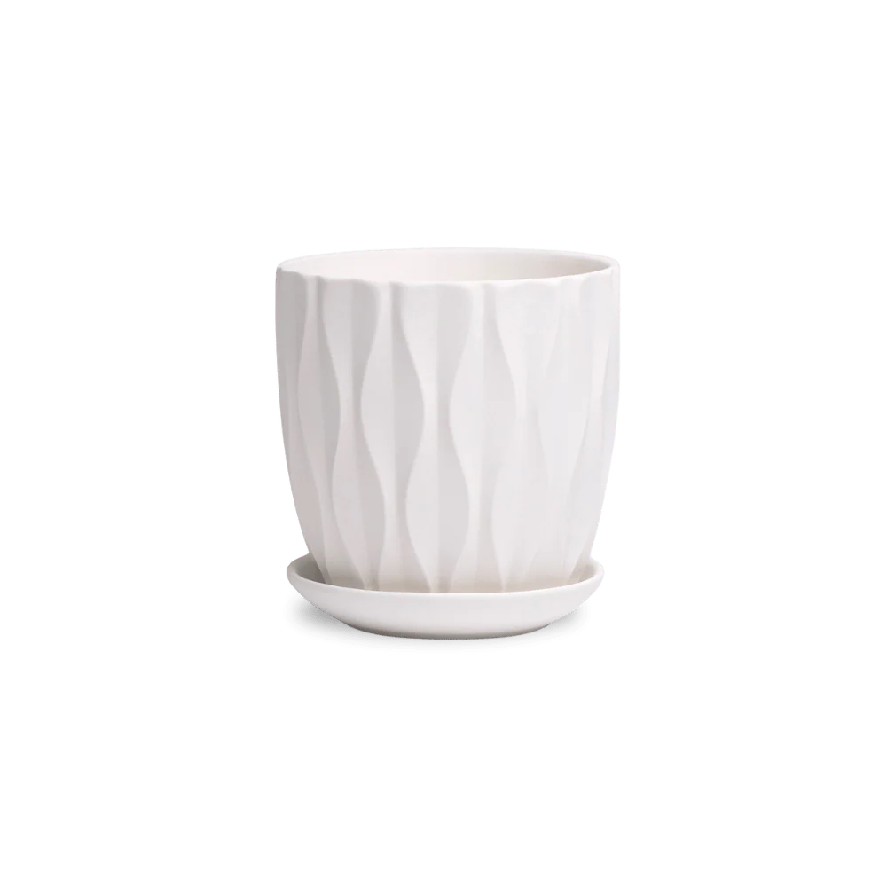 Product image 149