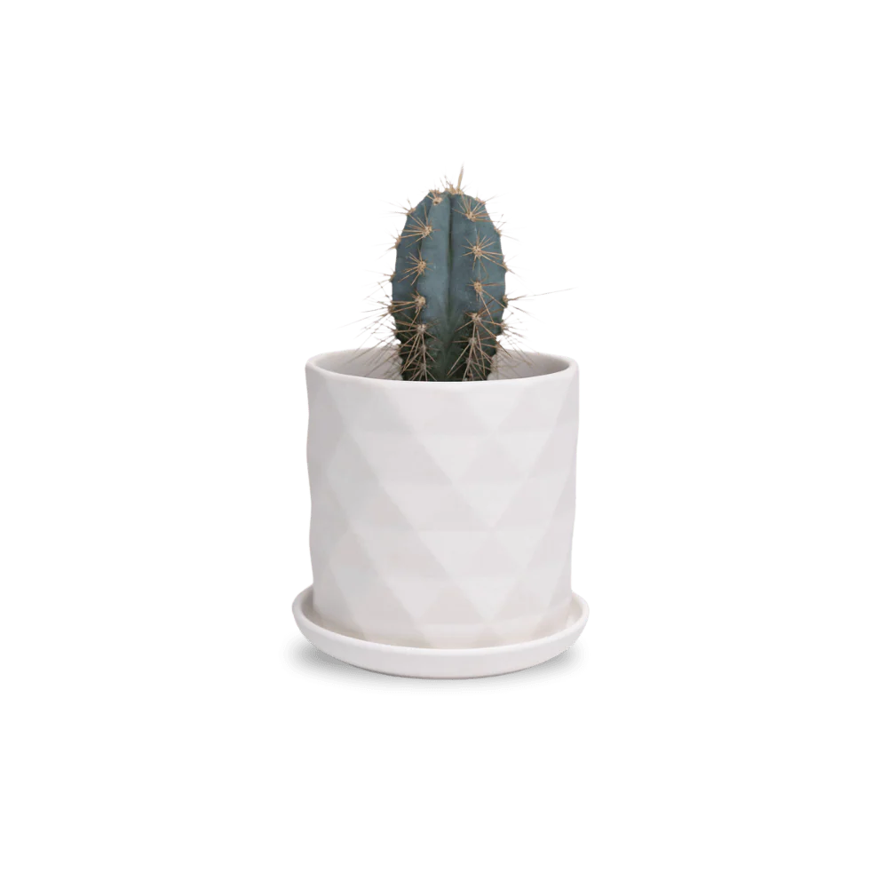 Product image 151