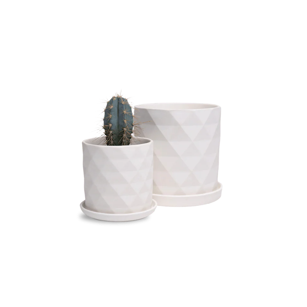 Product image 153
