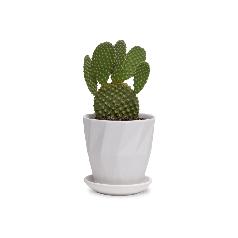 Product image 155