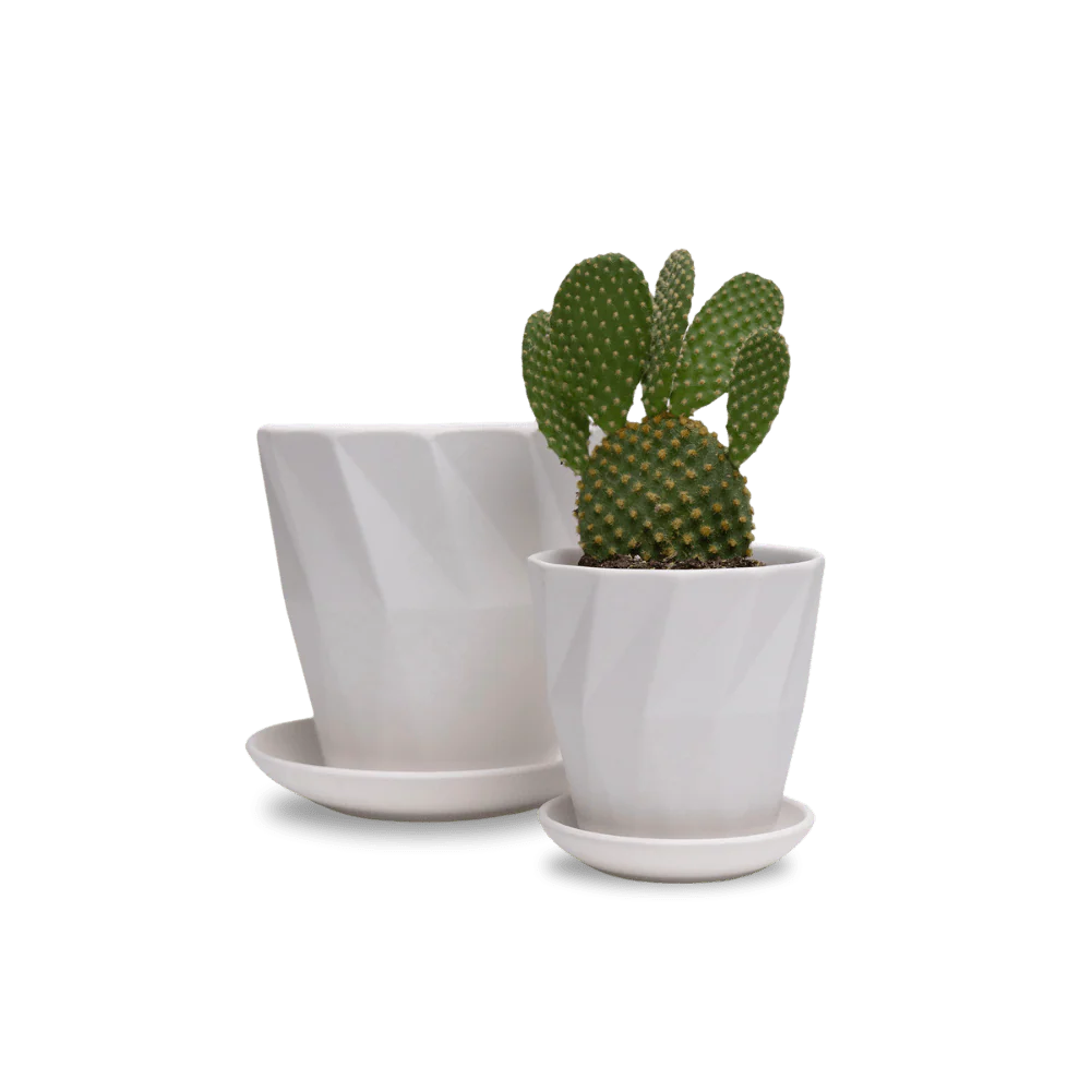 Product image 157