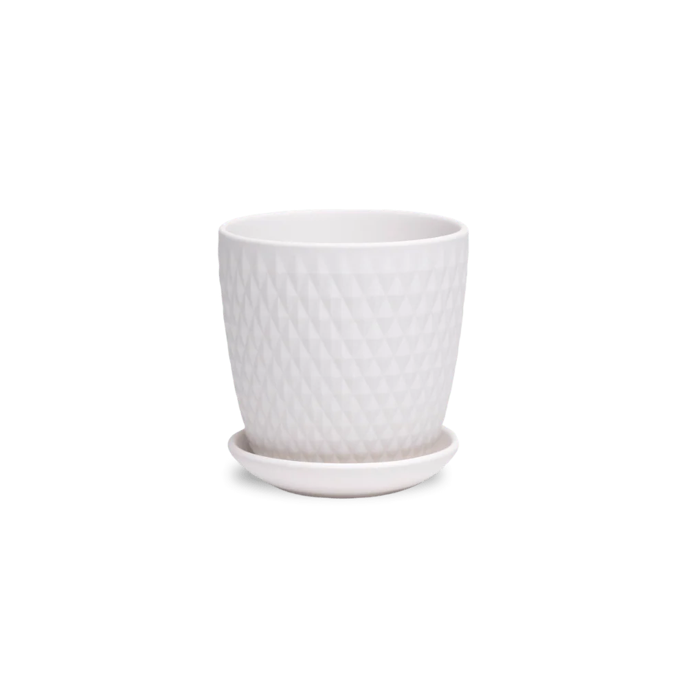 Product image 160