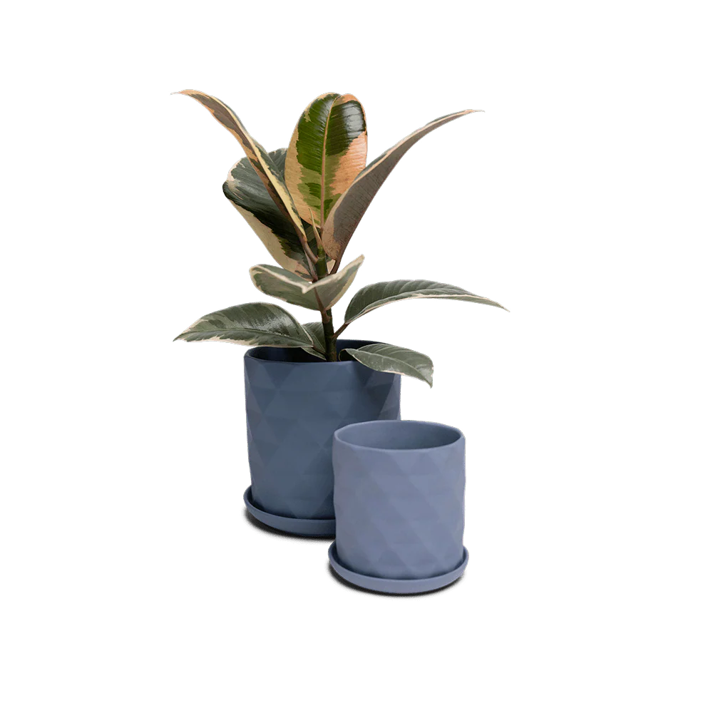 Product image 91