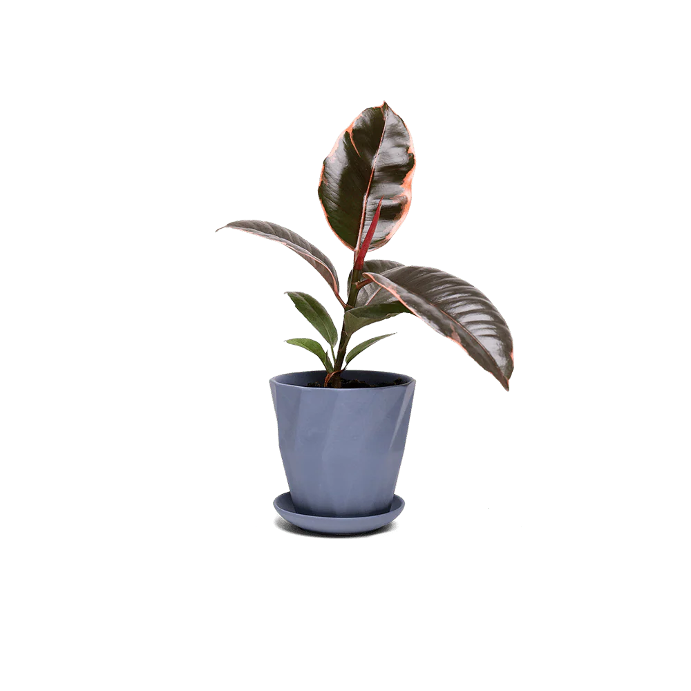 Product image 93
