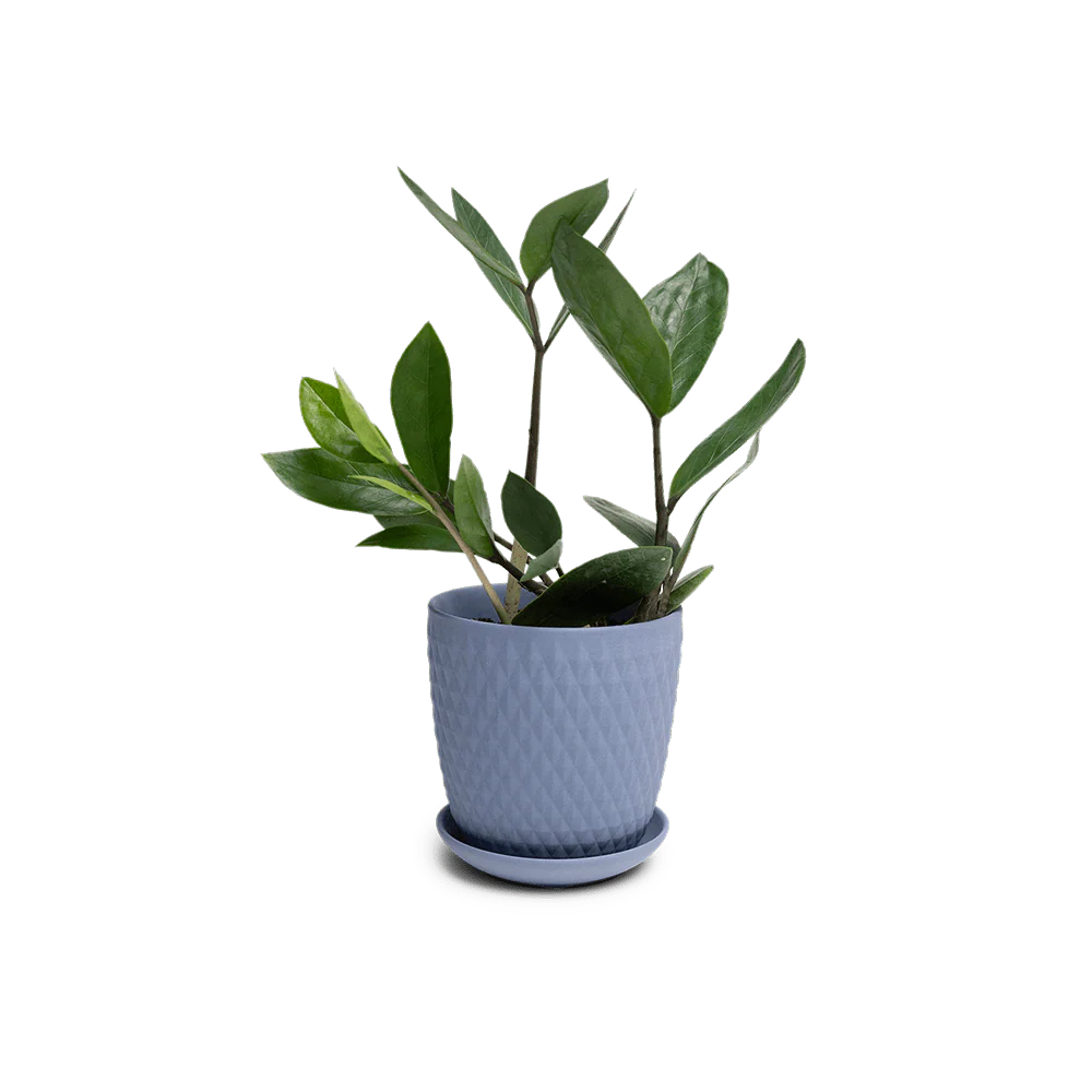Product image 97