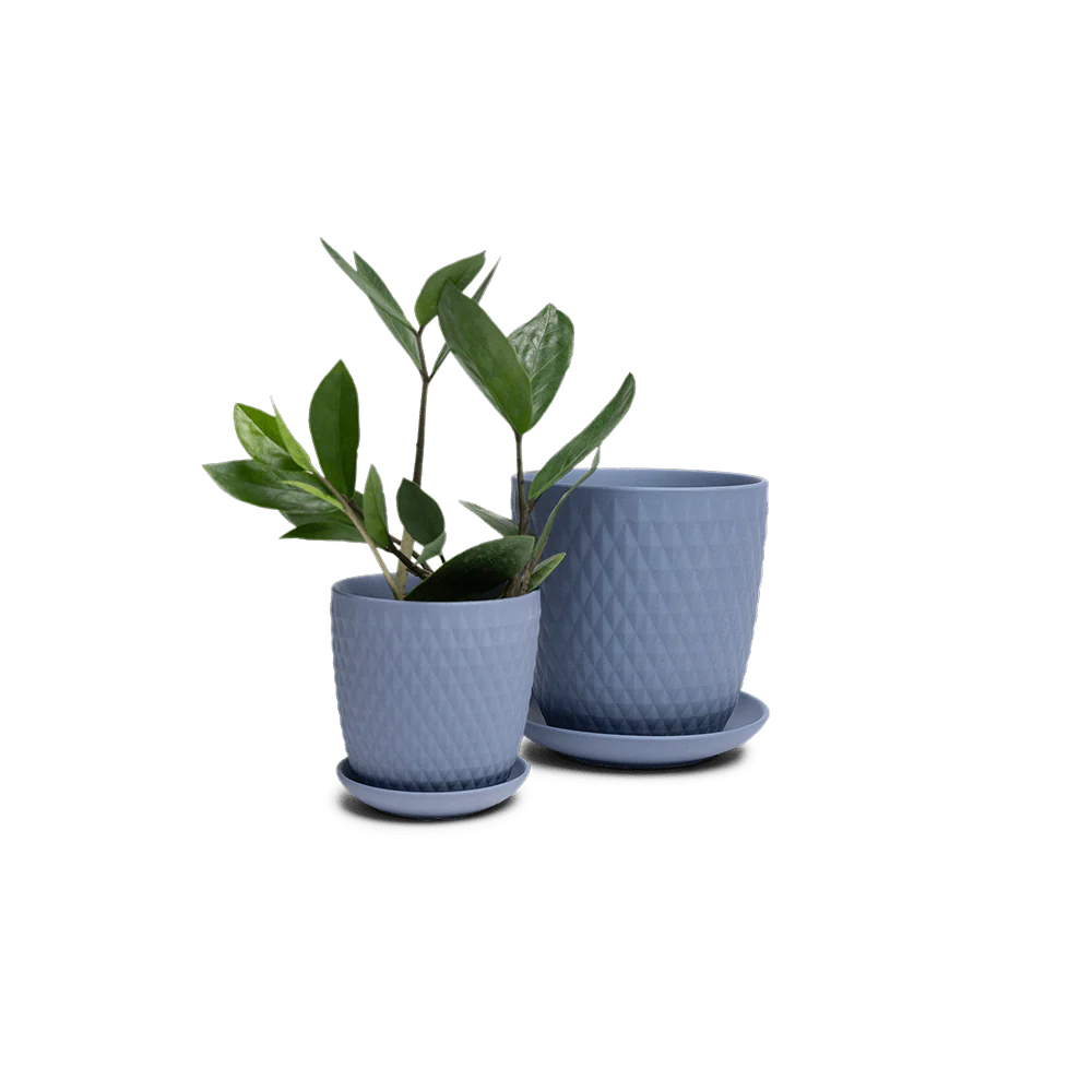 Product image 99